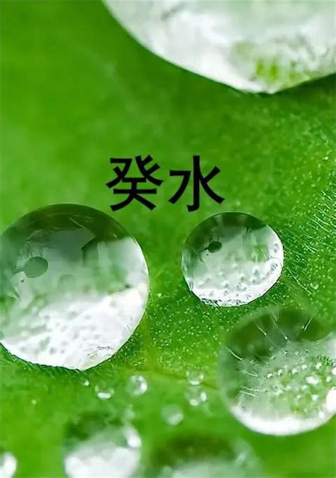 日主壬水|【风水】解析壬水日主